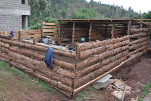 Useful Cowshed design in kenya | Artikel Online