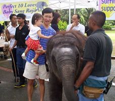 Robyn, Alvin and Baby Sang Raja