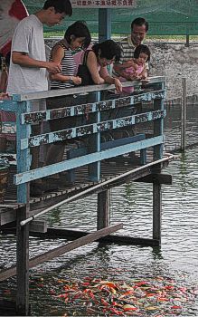 Fish farm