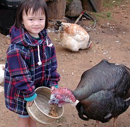 Robyn feeding a turkey