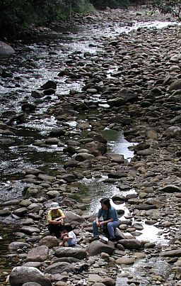 The Boulder at Babinda