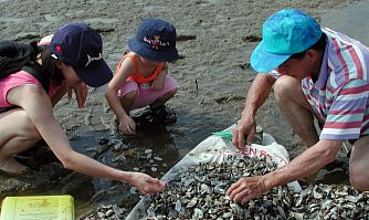 Learning from a fisherman uncle how to pick and select clams