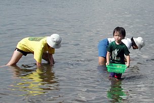 Return to Kranji mud flat