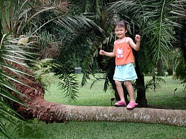 Robyn balancing on a horizontally growing tree trunk