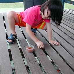 Robyn feeding fishes at Hausmann Fish Farm