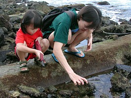 Robyn and Jin examing coastal life