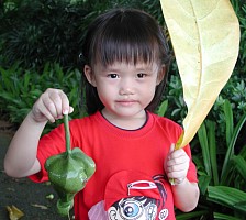 Robyn discovering plants