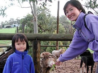 Jin and Robyn at Tombulgum Farm