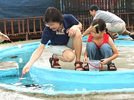 Jin & Robyn attempting to net some fishes