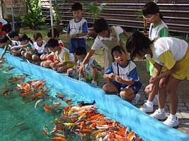 Kids feeding fishes