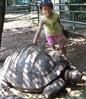 Robyn and Giant Turtle