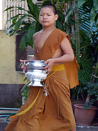 Young monk at Wat Chedi Luang