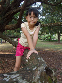 Robyn Yong on tree