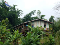 Tigerland Rice Farm Lodge