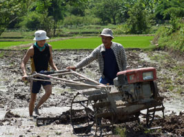 Alvin on the farm tractor