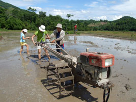 Jin on the farm tractor