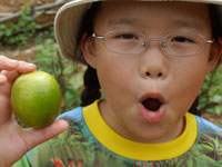 Robyn learning about wild fruit