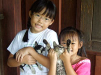 Robyn and Bam and kittens