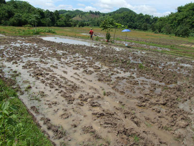 Before plowing on 9 Jun 2008 at 12 noon