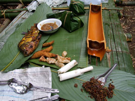 Bamboo feast in bamboo forest