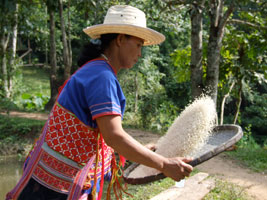 Mother Tomei sieving rice
