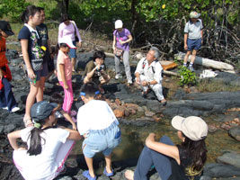 Outdoor classroom at the shoreline