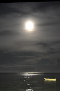 Moonshine in Bali