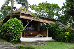 Chalet by the paddy