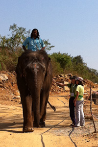 Indrinee, the elephant pet in the ashram