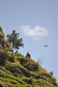 Old Man, Himalayan Crow and Blue Sky