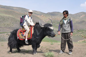 Robyn on yak