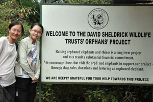 David Sheldrick Wildlife Trust's Orphans' Project