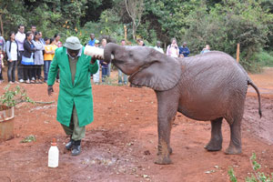 The trust relies on donation, entrance fee collection and elephant adoption for sustainability.