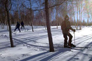 叶冰柳 showed us how to ski through forest in deep powder snow. It was real fun!