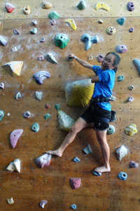 Coconut trees smiling in the sun