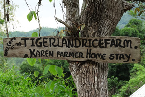 Tigerland Rice Farm