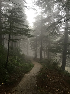 > 23 Sep: I enjoyed a wonderful Shambhala meditation at the Tushita Meditation Center this morning at McCleoGranj. This place is peacefully & mistily forested. 