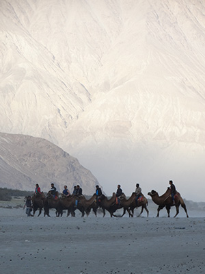 There are camel rides catering mainly to the local Indian tourists.